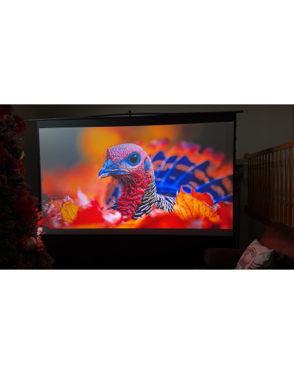116-Inch ezCinema Tab-Tension CineGrey 4D Series Portable 16:9 Front Projection Screen
