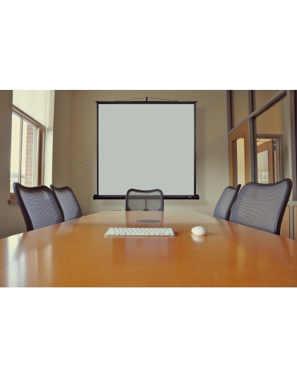 85-Inch Tripod B Series Portable 1:1 Front Projection Screen