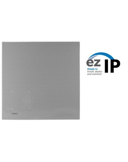 2x2 Lay-In Ceiling Speaker