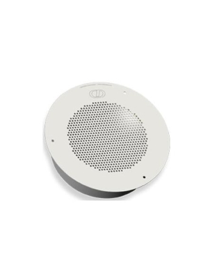 Auxiliary Speaker, Analog - Gray White
