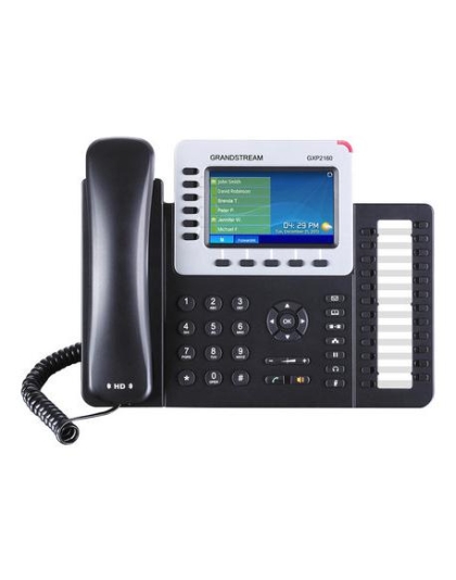 Enterprise IP Telephone
