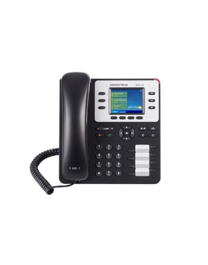 Enterprise IP Telephone