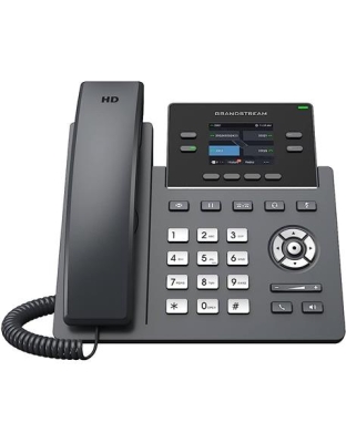 Carrier-Grade IP POE with 2 SIP Accounts