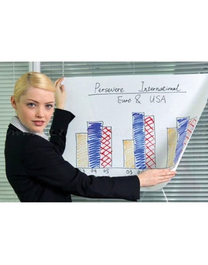 245-Inch Insta-DE Series WhiteBoard / Pliable 4:20 Front Projection Screen