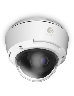 AI Indoor/Outdoor 5MP Dome Camera: 132